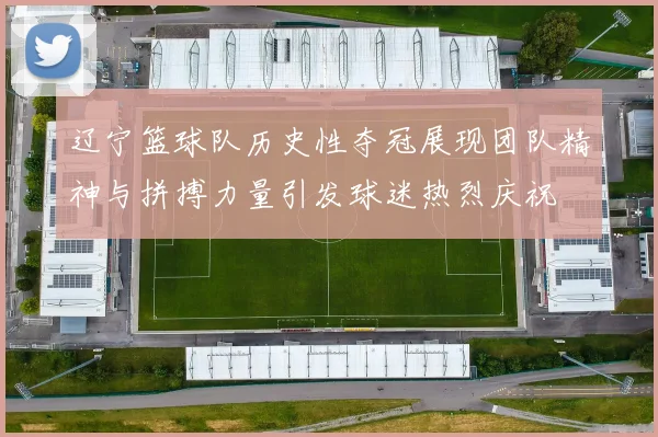 辽宁篮球队历史性夺冠展现团队精神与拼搏力量引发球迷热烈庆祝