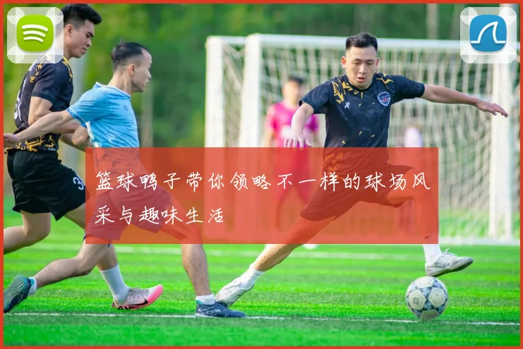 篮球鸭子带你领略不一样的球场风采与趣味生活
