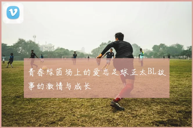 青春绿茵场上的爱恋足球正太BL故事的激情与成长