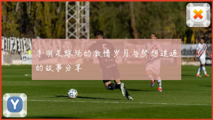 李明足球场的激情岁月与梦想追逐的故事分享